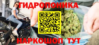 кокс Дубна
