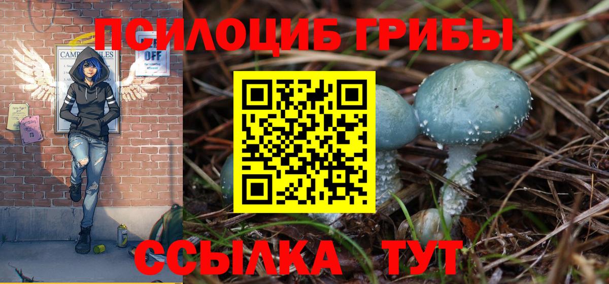как найти наркотики  Вход с VPN  Заводоуковск  Псилоцибиновые грибы прущие грибы 