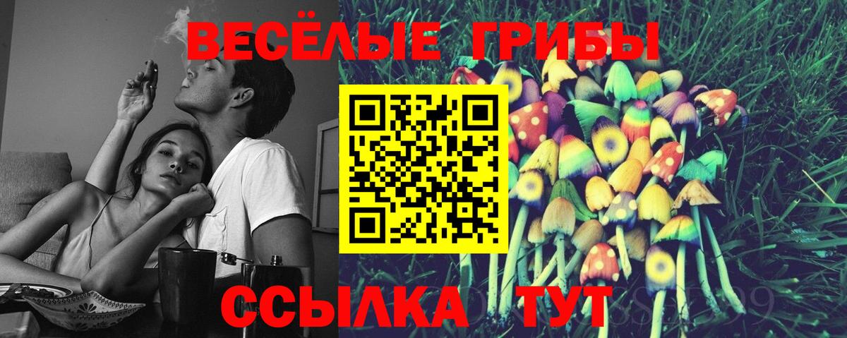 Псилоцибиновые грибы MAGIC MUSHROOMS Заводоуковск